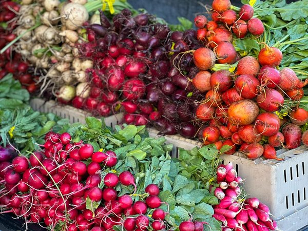 What are the key factors driving innovation in UK kitchen appliances?